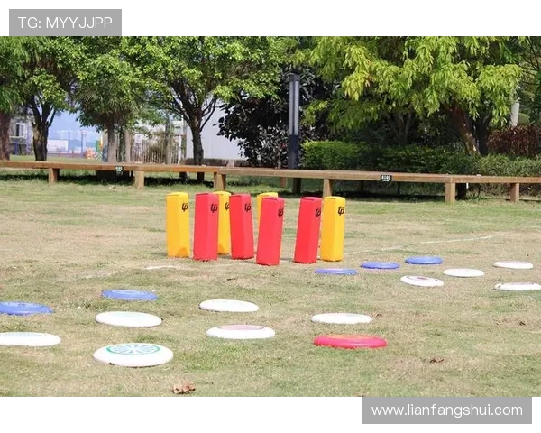 热议飞盘运动杭州飞盘队如何实现技术创新与战术升级