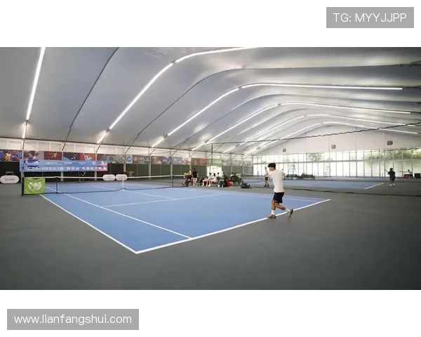 西安网球队创历史新高网球速度排名引发热议与关注